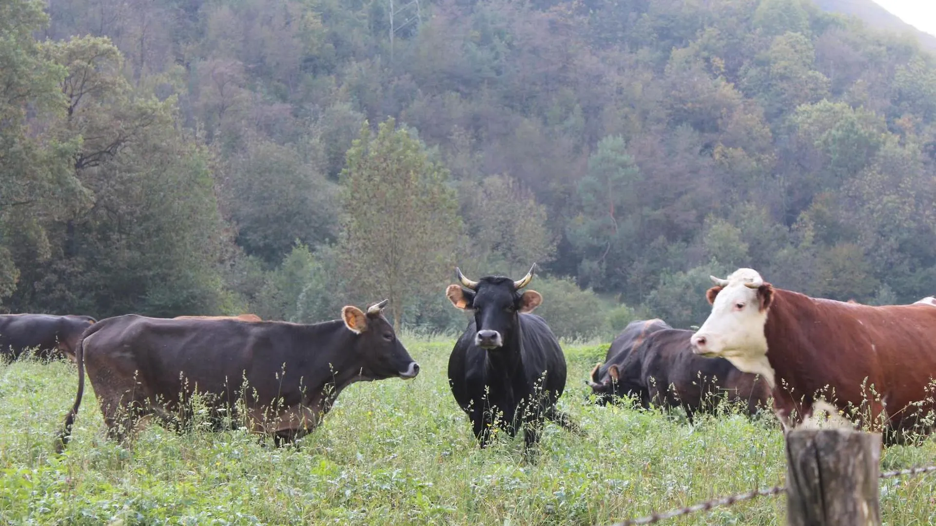 Agriturismo BioBiò Vobarno Italia