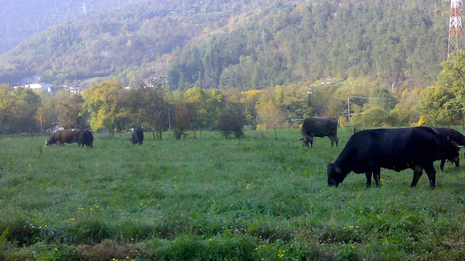 Agriturismo BioBiò Vobarno